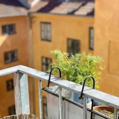 Royal * Copenhagen